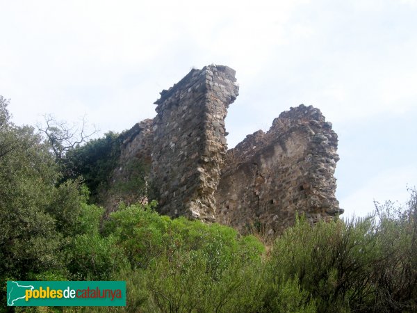 Abrera - Sant Pere de Voltrera